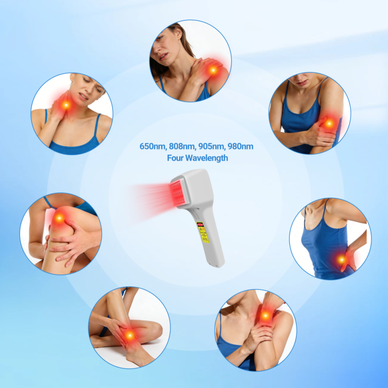 ZJKZ-equine laser therapy