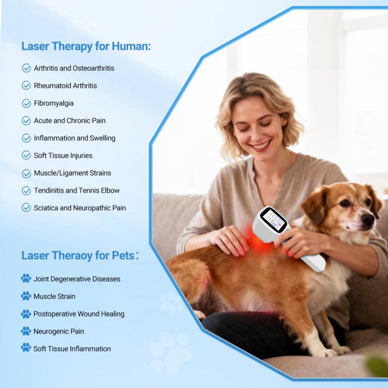 ZJKZ-horse light therapy